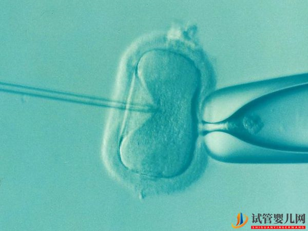 石家莊市第四醫院(圖3) 石家莊市第四醫院(圖3)