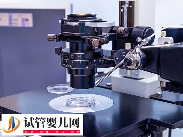 二代試管好還是三代好(圖1) 二代試管好還是三代好(圖1)